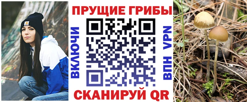 Галлюциногенные грибы Psilocybine cubensis  KRAKEN как зайти  Кандалакша 
